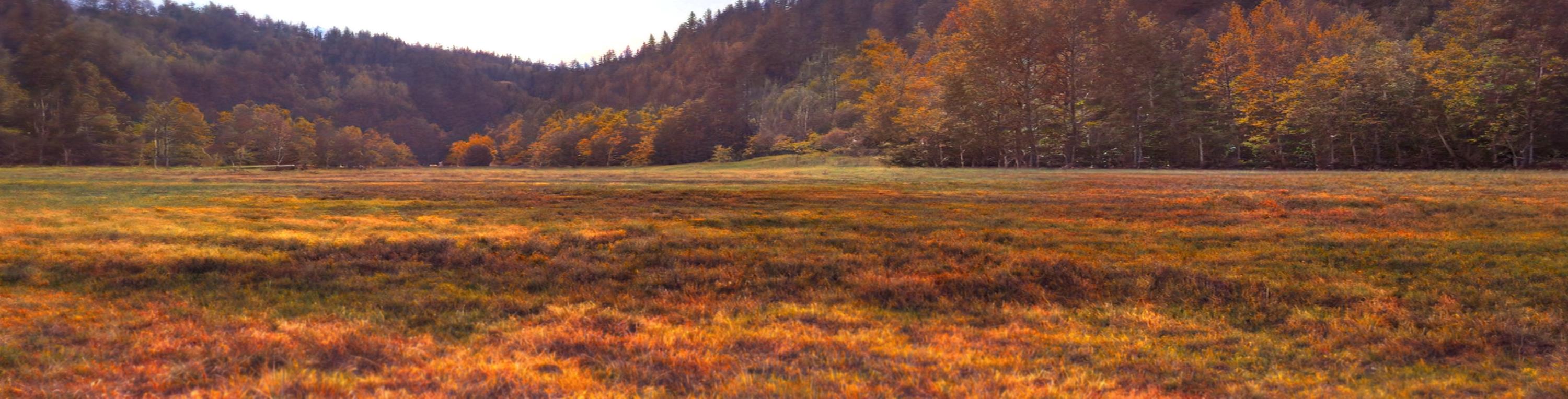 Herbst im Leitschtal Leider haben wir keinen Alternativtext zu diesem Bild, aber wir arbeiten daran.
