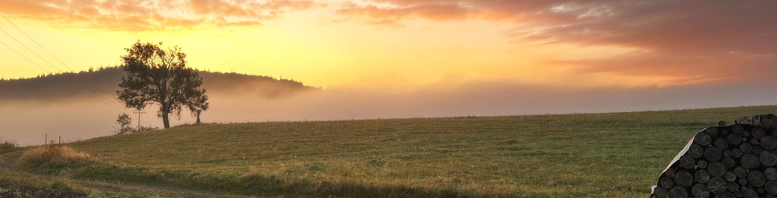 Sonnenaufgang bei Wellesberg Leider haben wir keinen Alternativtext zu diesem Bild, aber wir arbeiten daran.